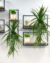 Nettenevime Yapay Çiçek Saksıda Sarkan Yeşil Kıvrımlı Saz 70cm thumbnail 8