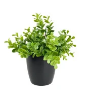 Nettenevime Yapay Çiçek Yeşil Renk Şimşir Siyah Saksıda Siyah Plastik Saksılı Dekoratif Süs Çiçeği thumbnail 2