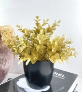 Nettenevime Yapay Çiçek Gold Renk Şimşir Siyah Saksıda Siyah Plastik Saksılı Dekoratif Süs Çiçeği thumbnail 3