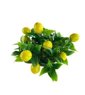 Nettenevime Yapay Çiçek Beyaz Saksıda Limon Demeti Dekoratif Masa Çiçeği thumbnail 2