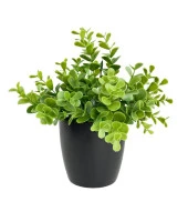 Nettenevime Yapay Çiçek Yeşil Renk Şimşir Siyah Saksıda Siyah Plastik Saksılı Dekoratif Süs Çiçeği thumbnail 4