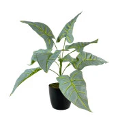 Nettenevime Yapay Çiçek Fil Kulağı Açık Yeşil Islak Doku Salon Bitkisi Siyah Saksıda 40cm 9 Yapraklı thumbnail 1