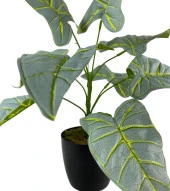 Nettenevime Yapay Çiçek Fil Kulağı Açık Yeşil Islak Doku Salon Bitkisi Siyah Saksıda 40cm 9 Yapraklı thumbnail 2