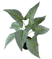 Nettenevime Yapay Çiçek Fil Kulağı Açık Yeşil Islak Doku Salon Bitkisi Siyah Saksıda 40cm 9 Yapraklı thumbnail 3