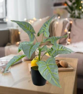 Nettenevime Yapay Çiçek Fil Kulağı Açık Yeşil Islak Doku Salon Bitkisi Siyah Saksıda 40cm 9 Yapraklı thumbnail 5