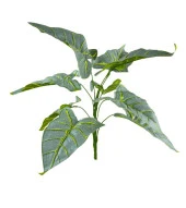 Nettenevime Yapay Çiçek Fil Kulağı Açık Yeşil Islak Doku Salon Bitkisi 35cm 9 Yapraklı thumbnail 2