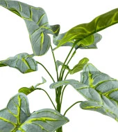 Nettenevime Yapay Çiçek Fil Kulağı Açık Yeşil Islak Doku Salon Bitkisi 35cm 9 Yapraklı thumbnail 3