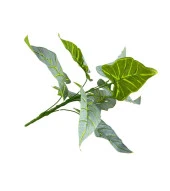 Nettenevime Yapay Çiçek Fil Kulağı Açık Yeşil Islak Doku Salon Bitkisi 35cm 9 Yapraklı thumbnail 4