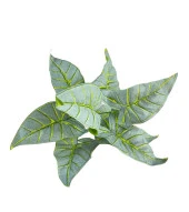 Nettenevime Yapay Çiçek Fil Kulağı Açık Yeşil Islak Doku Salon Bitkisi 35cm 9 Yapraklı thumbnail 5