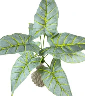 Nettenevime Yapay Çiçek Fil Kulağı Açık Yeşil Islak Doku Salon Bitkisi 35cm 9 Yapraklı thumbnail 6