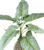 Nettenevime Yapay Çiçek Fil Kulağı Açık Yeşil Islak Doku Salon Bitkisi 35cm 9 Yapraklı thumbnail 7