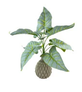 Nettenevime Yapay Çiçek Fil Kulağı Açık Yeşil Islak Doku Salon Bitkisi 35cm 9 Yapraklı thumbnail 8