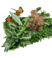 Nettenevime Yapay Çiçek Duvar Kaplama Panel Şimşir 40*60 5Demet Yeşil Bitki Dik Duvar Uygulama Çiçeği thumbnail 6