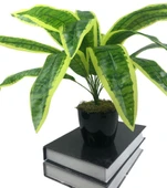 Yapay Çiçek Masengena Sansevieria 12 Dal 40*50cm Salon Çiçeği Plastik Siyah Saksılı Yapay Bitki - 2