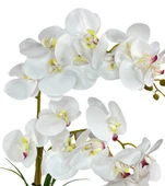 Nettenevime Yapay Çiçek 2li Beyaz Islak Orkide Seramik Saksıda Orkide 60cm thumbnail 5