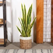 Nettenevime Yapay Çiçek Sansevieria Yeşil Kılıç Çiçeği 4 Adet 65cm Salon Çiçeği Yapay Bitki thumbnail 5