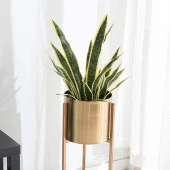 Nettenevime Yapay Çiçek Saksılı Yeşil Kılıç Çiçeği Dal 68cm Salon Çiçeği Metal Mat Siyah Saksılı Yapay Bitki thumbnail 2