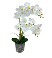 Nettenevime Yapay Çiçek 2li Beyaz Islak Orkide Seramik Saksıda Orkide 60cm thumbnail 9