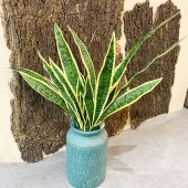 Nettenevime Yapay Çiçek Sansevieria Yeşil Kılıç Çiçeği 4 Adet 65cm Salon Çiçeği Yapay Bitki thumbnail 8