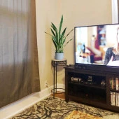 Nettenevime Yapay Çiçek Saksılı Yeşil Kılıç Çiçeği Dal 68cm Salon Çiçeği Metal Mat Siyah Saksılı Yapay Bitki thumbnail 9