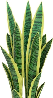 Nettenevime Yapay Çiçek Saksılı Yeşil Kılıç Çiçeği Dal 68cm Salon Çiçeği Metal Mat Siyah Saksılı Yapay Bitki thumbnail 10