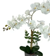 Nettenevime Yapay Çiçek 3lü Beyaz Orkide Seramik Saksıda Orkide 60cm - 3
