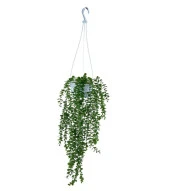 Nettenevime Yapay Çiçek Sarkan Beyaz Balkon Saksısında Şimşir Okaliptus thumbnail 1