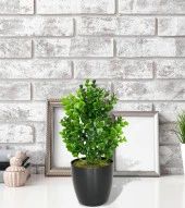 Nettenevime Yapay Çiçek Siyah Saksıda Jumbo Şimşir Dekoratif Süs Çiçeği thumbnail 2