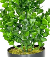 Nettenevime Yapay Çiçek Siyah Saksıda Jumbo Şimşir Dekoratif Süs Çiçeği thumbnail 4