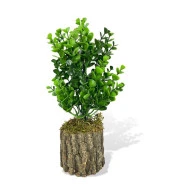 Nettenevime Yapay Çiçek Doğal Kütük Odun Saksıda Jumbo Şimşir Okaliptus Masa Çiçeği thumbnail 1