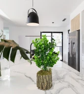 Nettenevime Yapay Çiçek Doğal Kütük Odun Saksıda Jumbo Şimşir Okaliptus Masa Çiçeği thumbnail 2