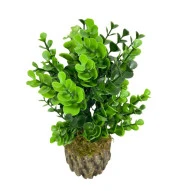 Nettenevime Yapay Çiçek Doğal Kütük Odun Saksıda Jumbo Şimşir Okaliptus Masa Çiçeği thumbnail 5