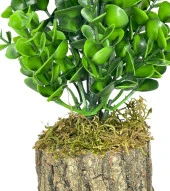 Nettenevime Yapay Çiçek Doğal Kütük Odun Saksıda Jumbo Şimşir Okaliptus Masa Çiçeği thumbnail 6