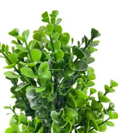 Nettenevime Yapay Çiçek Doğal Kütük Odun Saksıda Jumbo Şimşir Okaliptus Masa Çiçeği thumbnail 7