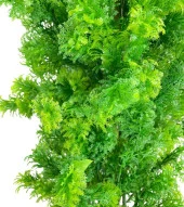 Yapay Çiçek Siyah Saksıda Yeşil Fesleğen Bonsai Ağacı 55cm - 8