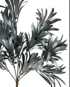 Nettenevime Yapay Çiçek Gümüş Renk Podocarpus Demeti 5 dal Garnitür Aradal Dekoratif Yapay Bitki thumbnail 3