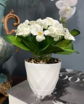 Nettenevime Yapay Çiçek Kadife Menekşe Gerçekçi Doku Beyaz Saksıda Çakıl Taşlı BEYAZ thumbnail 4