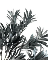 Nettenevime Yapay Çiçek Gümüş Renk Podocarpus Demeti 5 dal Garnitür Aradal Dekoratif Yapay Bitki thumbnail 5