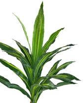 Nettenevime Yapay Çiçek Kılıç Yukka Ağacı 115cm Salon Bitkisi Siyah Gold Galvaniz Vazoda - 6