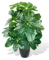 Yapay Çiçek Saksıda Şeflera Bitkisi 18Dal 75cm Salon Çiçeği Yapay Bitki Pachira Macrocarpa - 1
