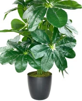 Yapay Çiçek Saksıda Şeflera Bitkisi 18Dal 75cm Salon Çiçeği Yapay Bitki Pachira Macrocarpa - 6