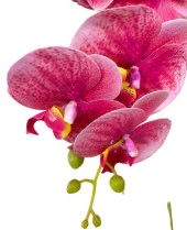 Nettenevime Yapay Çiçek Pembe Koyu Islak Orkide Gerçeksi Doku Uzun Dal 90 cm thumbnail 2