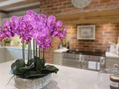 Nettenevime Yapay Çiçek Fuşya Damarlı Islak Orkide Uzun Dal 90 cm Orkide thumbnail 6