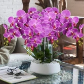 Nettenevime Yapay Çiçek Fuşya Damarlı Islak Orkide Uzun Dal 90 cm Orkide thumbnail 7