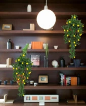 Nettenevime Yapay Çiçek Sarkan Limon Yapay 60*20cm - 6