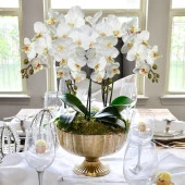 Nettenevime 3lü Set Yapay Çiçek Orkide Yaprağı Doğal Görünüm thumbnail 4