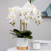 3lü Set Yapay Çiçek Islak Orkide ve 2 Adet Orkide Yaprağı Gerçeksi Doku Uzun Dal 90cm - 5