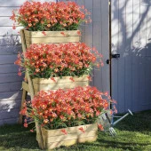 Nettenevime 6lı Set Yapay Çiçek Kırmızı Papatya 7 Dallı Plastik Dekoratif Yapay Bitki thumbnail 7