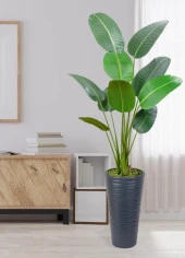 Nettenevime Yapay Ağacı Antrasit 57cm Uzun Kumsal Vazoda Muz Ağacı Yapay Starliçe 195cm 10 Yaprak - 2