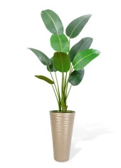 Nettenevime Yapay Ağacı Dore 57cm Uzun Kumsal Vazoda Muz Ağacı Yapay Starliçe 195cm 10 Yaprak - 1